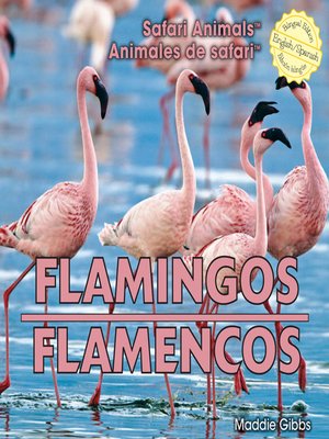 cover image of Flamingos / Flamencos